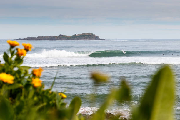 barra de arena en Mundaka con surfista en una ola
