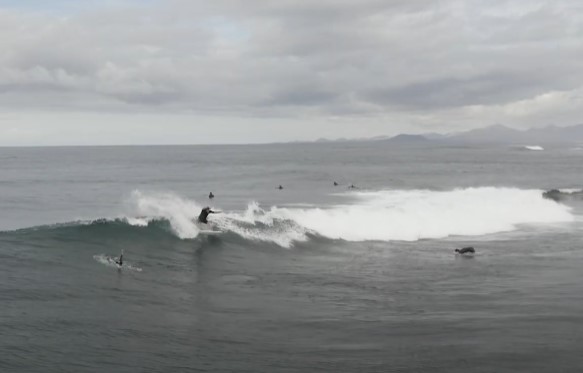 surfista en Fuerteventura